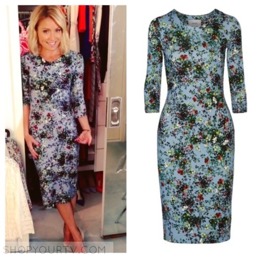 🤩 Erdem Allegra Dress